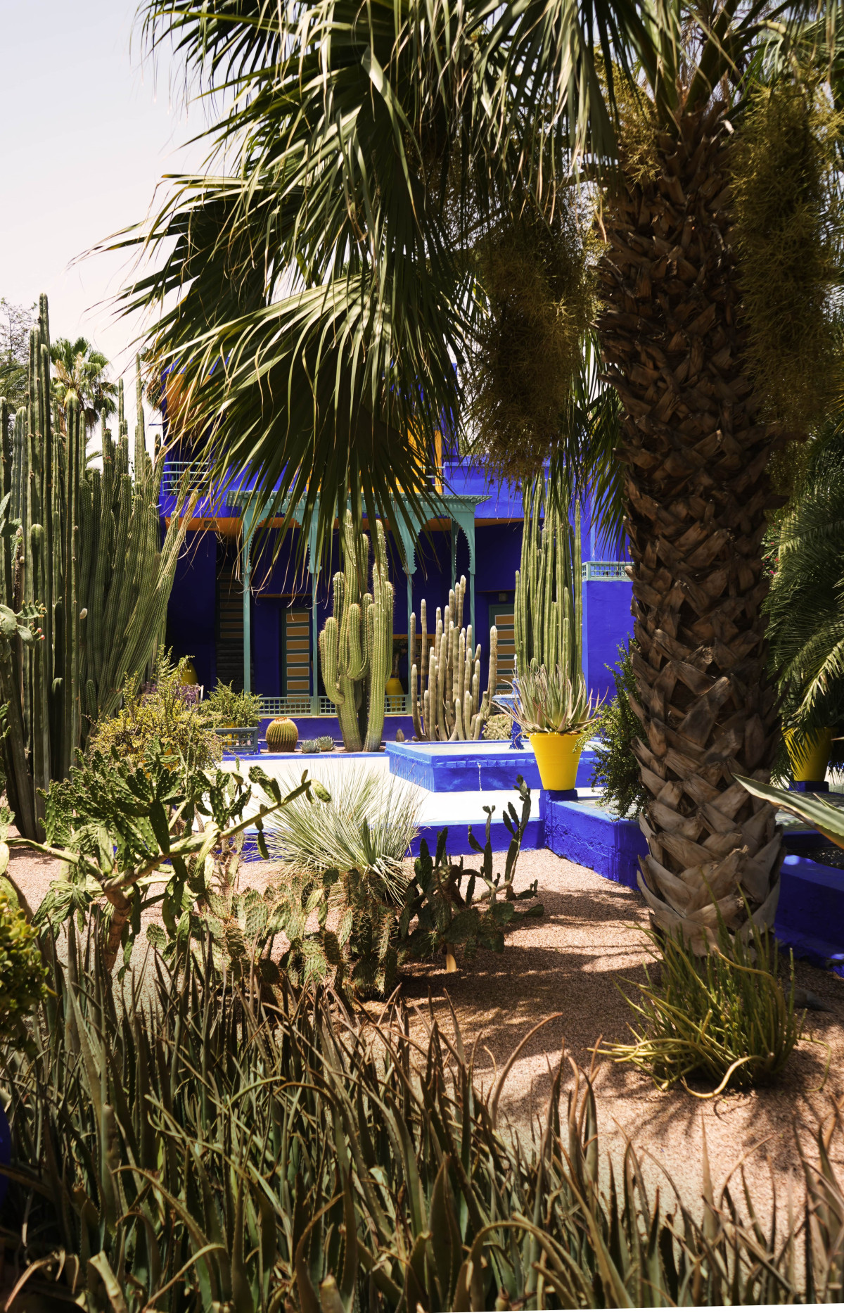 villa oasis